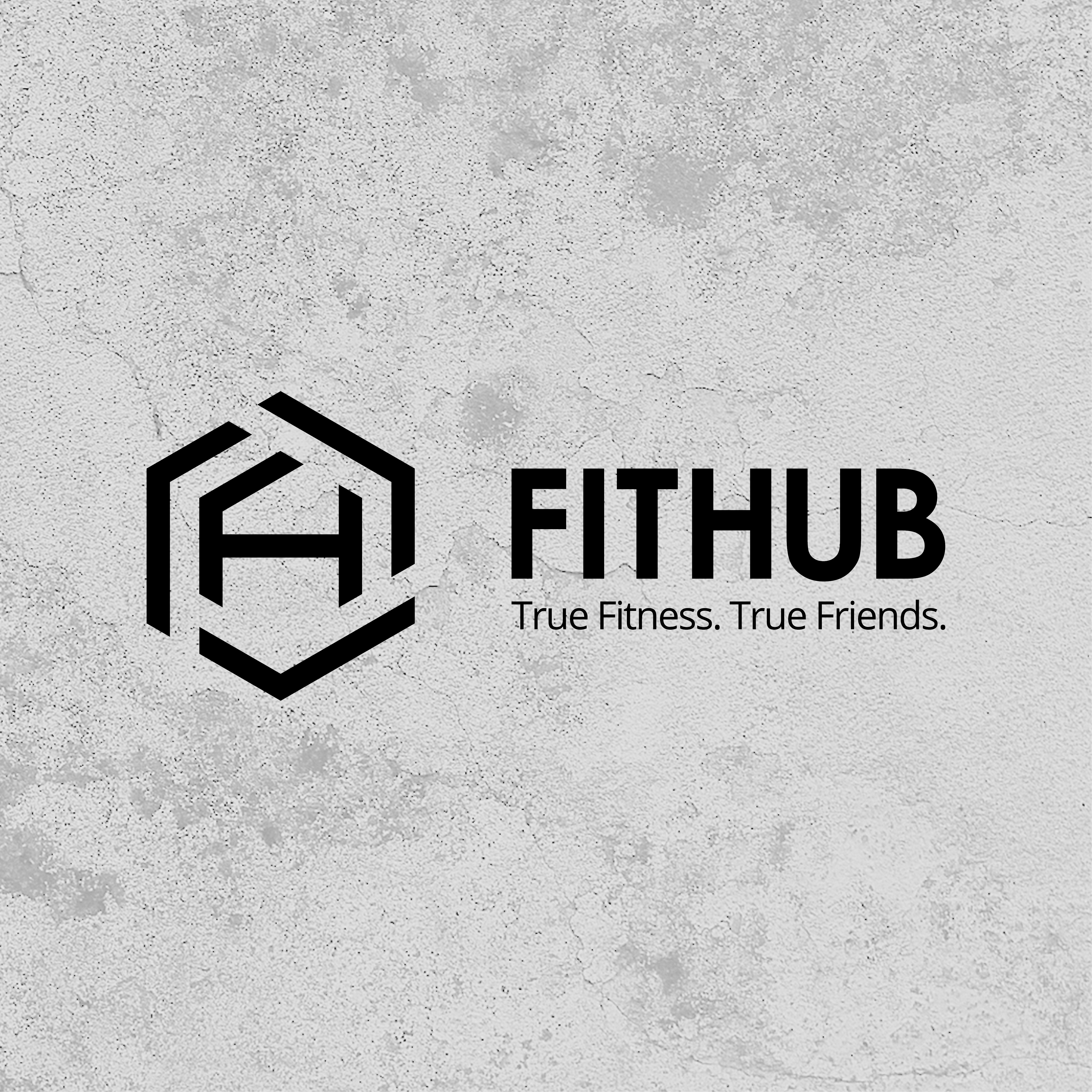 FitHub<br /> <span style='color:#b2b2b2;font-size:26px;'>Branding</span>